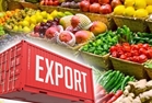 صدور 246 فقره گواهی بهداشت قرنطینه گیاهی محصولات کشاورزی صادراتی استان توسط مدیریت حفظ نباتات سازمان جهاد کشاورزی استان در شش ماهه اول سال 1403 