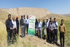 برگزاری روز مزرعه در مزارع PVS و PNT غلات و سایر ارقام نخود دیم شهرستان ایجرود