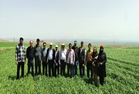 بازدید کارشناسان وزارت جهاد کشاورزی از طرح های مقایسه ارقام گندم در زنجان