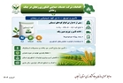 اینفوگرافی اقدامات شرکت خدمات حمایتی کشاورزی
