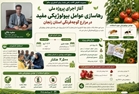 آغاز اجرای پروژه ملی رهاسازی عوامل بیولوژیکی مفید در مزارع گوجه‌فرنگی استان زنجان/ سالانه ۲۵۰۰ هکتار از اراضی زراعی استان تحت پوشش توزیع و رها سازی عوامل مفید بیولوژیکی قرار می گیرد 
