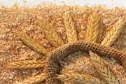 اخبار مدیریت توسعه بازرگانی