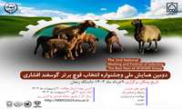 دومین همایش ملی و جشنواره انتخاب قوچ برتر گوسفند افشاری