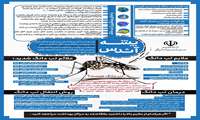 پشه آئدس