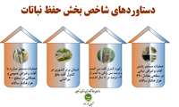 دستاوردهای شاخص بخش حفظ نباتات در سال 1403