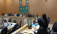 برگزاری جلسه کارگروه شناسایی خدمات استانی