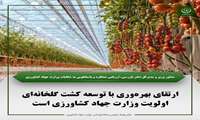ارتقای بهره‌وری با توسعه کشت گلخانه‌ای اولویت جهاد کشاورزی است