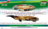  همایش ملی و جشنواره انتخاب قوچ برتر گوسفند افشاری