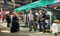 غرفه مدیریت باغبانی سازمان جهاد کشاورزی استان زنجان در سیزدهمین نمایشگاه تخصصی کشاورزی