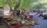 برگزاری برنامه روز روستا - روستای خوئین شهرستان ایجرود