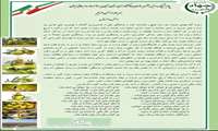 پیام تبریک رئیس سازمان جهاد کشاورزی استان به مناسبت روز جهانی زیتون