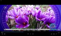 اخبار 120 ثانیه شبکه اشراق استان زنجان