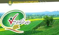   سرشماری عمومی کشاورزی چیست؟