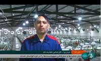 بزرگترین تولید زنجیره گوشت بوقلون کشور در زنجان