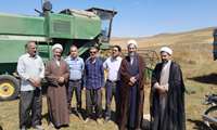 بازدید از مزارع گندم