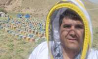 آغاز سرشماری سراسری زنبورعسل در استان زنجان/جابه‌جایی کندوهای زنبور عسل تا نوزدهم مهرماه ممنوع است