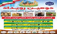 دومین رویداد محصولات زراعی، باغی و دامی  استان زنجان و آیین شکرگزاری رکورد شکنی تولید گندم با غرفه های متنوع فروش محصولات توسط تولید کننده ها و برنامه های آموزشی و مشاوره های رایگان حوزه کشاورزی