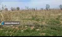 پخش خبری 20 شبکه اشراق زنجان