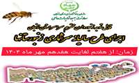 قابل توجه زنبورداران محترم استان زنجان ،اجرای طرح سالیانه سرشماری زنبورستانها از هفتم لغایت هفدهم مهرماه ۱۴۰۴   