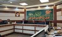 اولین جلسه کمیته طرح افزایش تولید در دامداری‌های سبک روستایی و عشایری زنجان برگزار شد