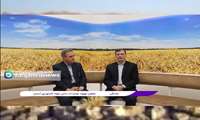 زنجان قطب اصلاح نژاد دام سبک کشور