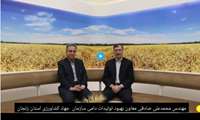 طرح افزایش تولید در دامداری های سبک روستایی و عشایری استان زنجان  محمدعلی صادقی معاون بهبود تولیدات دامی سازمان جهاد کشاورزی استان زنجان