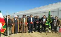 افتتاح گلخانه هیدروپونیک توت فرنگی در شهرستان سلطانیه به مناسبت دهه مبارک فجر