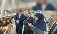 افتتاح واحد تولیدی مجتمع غذایی افضل لبن در شهرستان سلطانیه