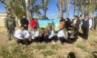 برگزاری کارگاه آموزشی کاشت نهال در شهرستان سلطانیه