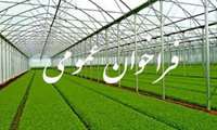 فراخوان عمومی شهرک گلخانه ای استان زنجان