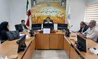 مدیر تعاون روستایی استان زنجان/ تاکید بر همکاری دستگاه‌ها برای توسعه روستا بازارها در زنجان
