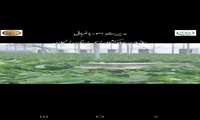 آغاز بهره برداری از طرح تولید محصول گلخانه ای آقای سعید نجفی در استان زنجان به مناسبت هفته جهاد کشاورزی   سال ۱۴۰۴