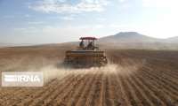 اجرای طرح جهش تولید در ۴۵۰ هزار هکتار از زمین‌های کشاورزی زنجان       