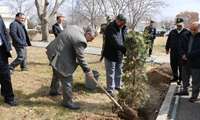کاشت نهال توسط رئیس سازمان جهاد کشاورزی استان زنجان به مناسبت روز درختکاری