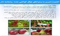 اهمیت ،ضرورت و مزایای نهال گواهی شده