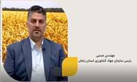 کلیپ گندم 25 اردیبهشت 1403