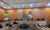 نشست تخصصی بررسی مسائل و مشکلات فعالیت زنان روستایی و عشایری در زنجان برگزار شد