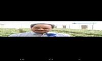  تولید 13 هزارو 500 تن محصول از دل گلخانه‌ها 