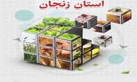 «فرصت طلایی» تجارت کشاورزی زنجان در نشست سه‌روزه اکو