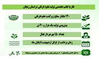 اینفوگرافی | طارم قطب تخصصی تولید نخود فرنگی در استان زنجان 