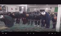 موکب قرارگاه سید الشهدا جهاد کشاورزی 10