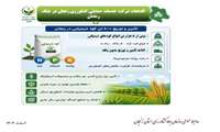 اینفوگرافی اقدامات شرکت خدمات حمایتی کشاورزی