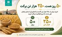 ۵۰ روز همت، ۲۵۰ هزار تن برکت