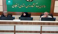 دستور کارِ پرداخت مطالبات گندمکاران در چهارمین جلسه کارگروه خرید تضمینی استان  زنجان