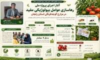  آغاز اجرای پروژه ملی رهاسازی عوامل بیولوژیکی مفید در مزارع گوجه‌فرنگی استان زنجان/ سالانه ۲۵۰۰ هکتار از اراضی زراعی استان تحت پوشش توزیع و رها سازی عوامل مفید بیولوژیکی قرار می گیرد 