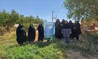 برگزاری کارگاه آموزشی گیاهان دارویی در خنداب؛ گامی به سوی ارتقای بهره‌وری کشاورزی