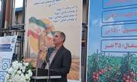 زنجان ظرفیت ۱۰ برابر شدن تولیدات کشاورزی را دارد