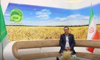 تامین کالاهای اساسی