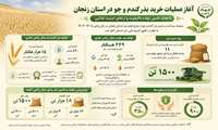 آغاز عملیات خرید بذر گندم و جو در استان زنجان/ با هدف تامین نهاده با کیفیت و ارتقای امنیت غذایی