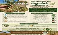 آغاز عملیات برداشت نخود در استان زنجان/ گامی بلند در مسیر توسعه کشت پایدار و افزایش بهره‌وری در دیمزارها